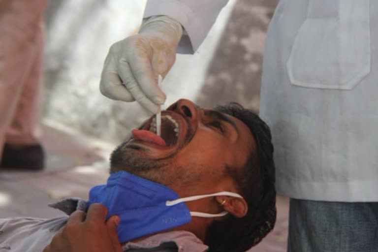 corona recorded in Madhya Pradesh