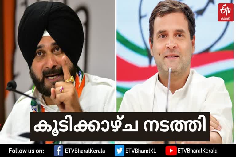 Navjot Singh Sidhu  Punjab Congress leader Navjot Singh Sidhu  party President Rahul Gandhi  Punjab Congress  Punjab Congress infighting  Punjab Chief Minister Amrinder Singh  പഞ്ചാബ് കോൺഗ്രസ്  പഞ്ചാബ് കോൺഗ്രസിലെ പ്രതിസന്ധി  സിദ്ധു രാഹുൽ ഗാന്ധിയുമായി കൂടിക്കാഴ്‌ച നടത്തി  സിദ്ധുവിന് ഉന്നത സ്ഥാനം ലഭിച്ചേക്കും  നവജോത് സിങ് സിദ്ധു