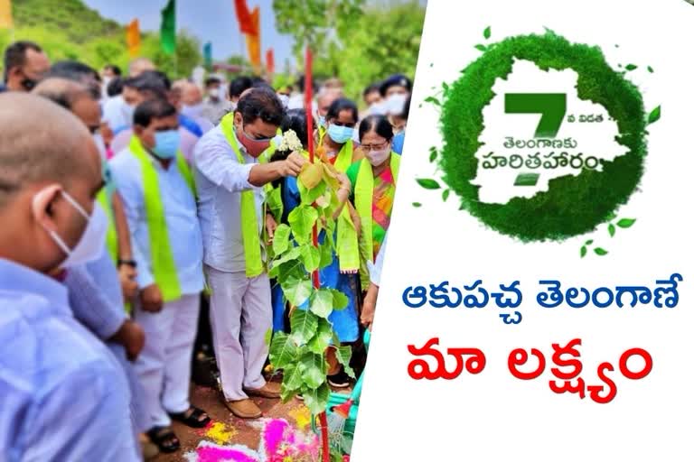 minister ktr planting