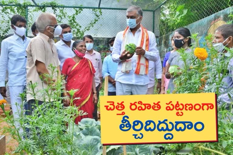 Minister Harish Rao