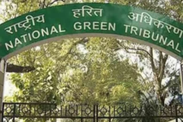 Disappointed: SC pulls up NGT, stays Baghjan 10-member panel