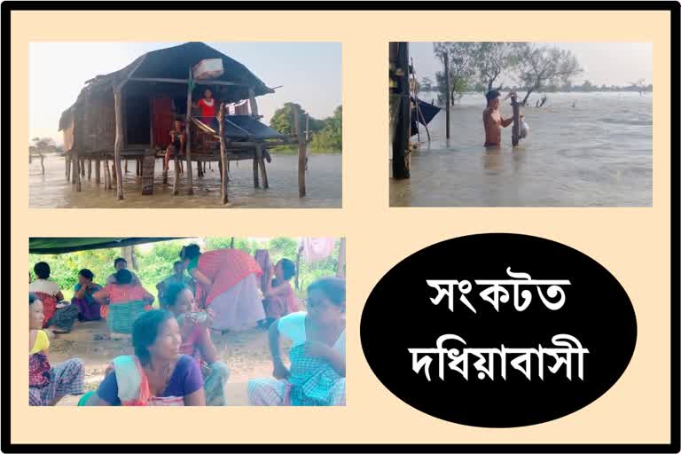 A_tsk_flood-in-laika-dadhiya-assam-etv-bharat-news_vis_as10027