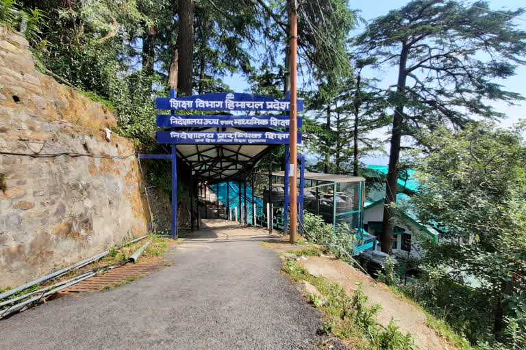 Shimla