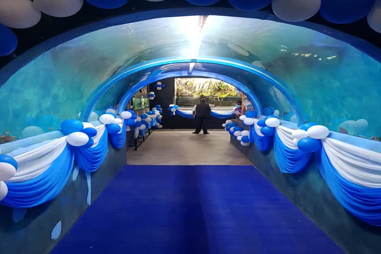 movable freshwater tunnel aquarium  Indias first movable freshwater tunnel aquarium  Bengaluru railway station  Bengaluru railway station news  ചലിക്കുന്ന ശുദ്ധജല തുരങ്ക അക്വേറിയം  ബെംഗളൂരു റെയിൽ‌വേ സ്റ്റേഷൻ  ബെംഗളൂരു റെയിൽ‌വേ സ്റ്റേഷൻ വാർത്ത