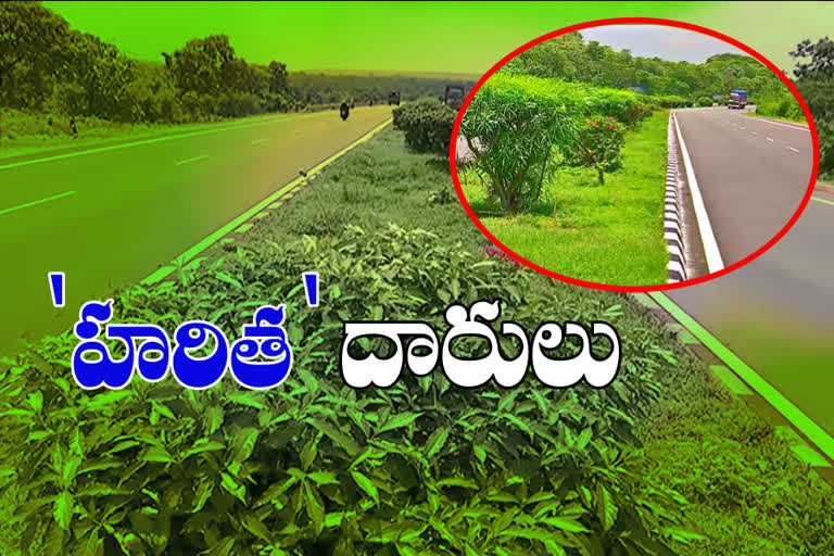 GREENARY: పచ్చదనంతో కళకళలాడుతున్న జాతీయ రహదారులు