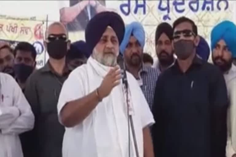 Sukhbir Badal Holds Dharna Due To Power And Water Shortage