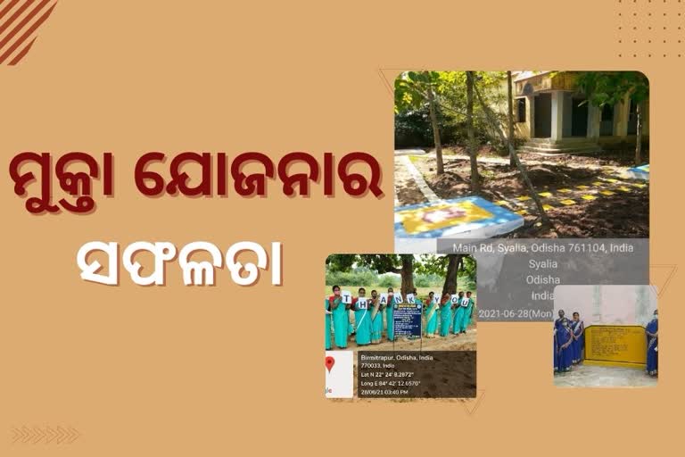 ‘ମୁକ୍ତା’ ଯୋଜନାର ସଫଳତା, ରାଜ୍ୟରେ 10 ହଜାର RWHS ପ୍ରତିଷ୍ଠା