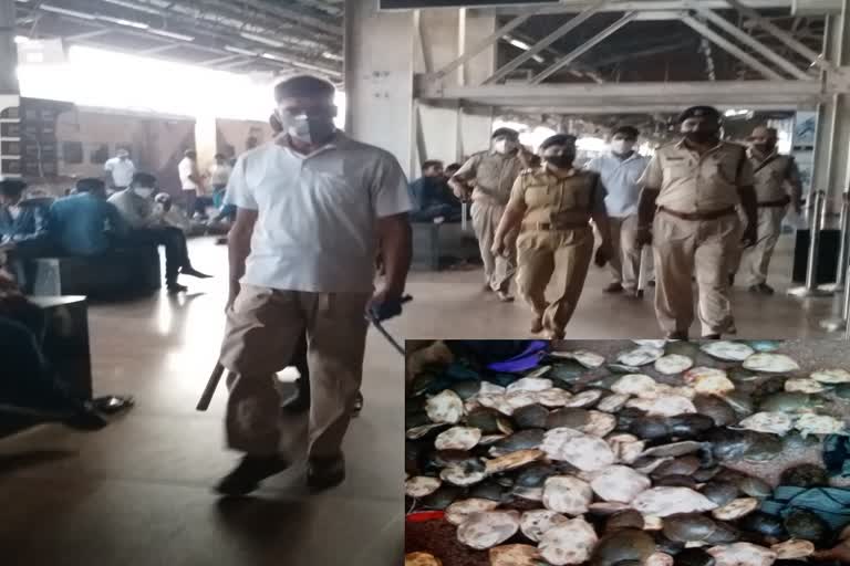 GRP recovered 162 tortoises from Farakka Express at Patna Junction