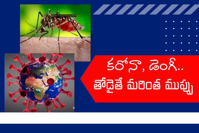 Corona, Dengue, Covid, Seasonal Diseases, Dengue to Corona Patient