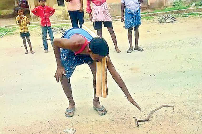 man died with snake bite at manthralayam