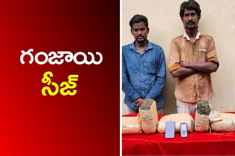 Ganja seized, two members arrest