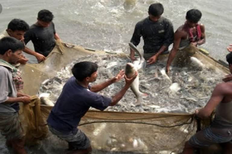 Assam moves upwards in fisheries production