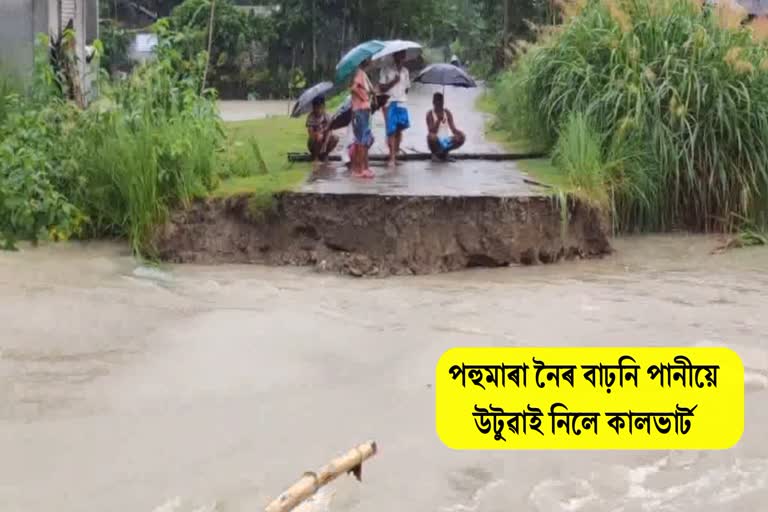 culvert boiled by rising water At Barpeta District