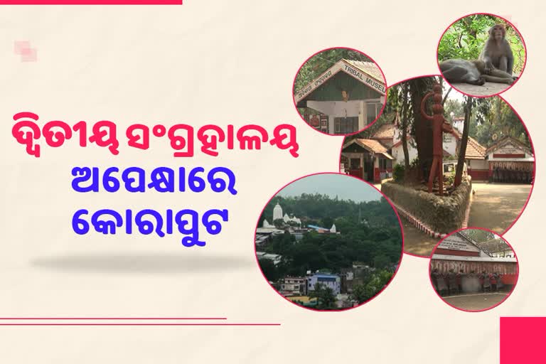 କୋରାପୁଟରେ ଜୈବ ବିବିଧତାକୁ ନେଇ ସଂଗ୍ରହାଳୟ ଆବଶ୍ୟକ: ପରିବେଶବିତ୍