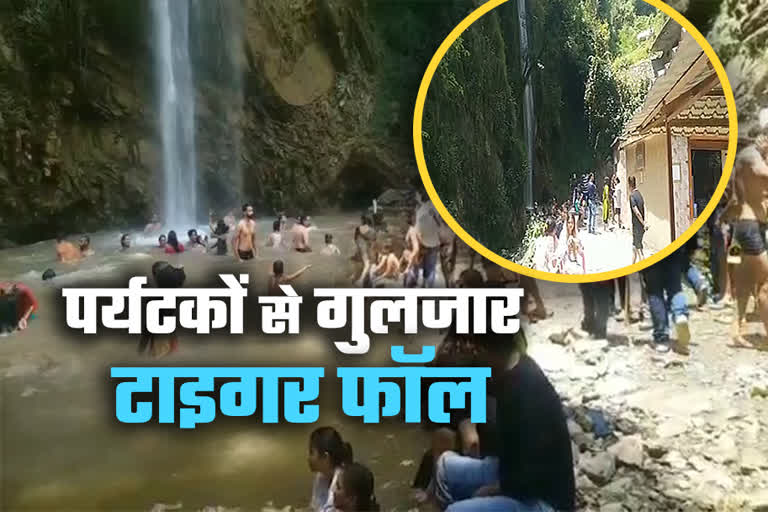 Vikasnagar Tiger Fall