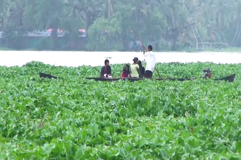 faimily traped in lake  alappuzha latest news  ആലപ്പുഴ വാർത്തകള്‍  കായലില്‍ കുടുങ്ങി