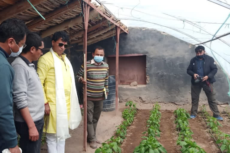 organic farming,  kailash choudhary