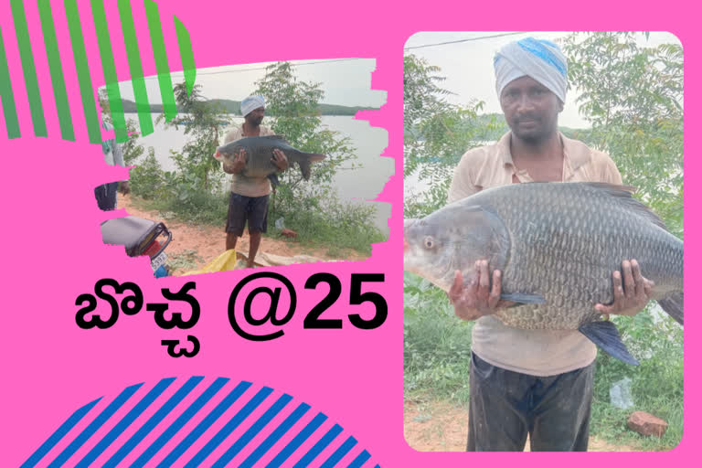 25kgs fish