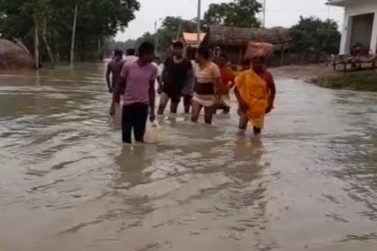 लगातार बारिश से बाढ़ जैसे हलात