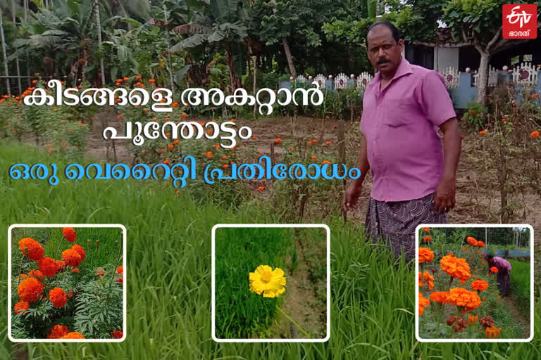 Ecological Engineering  എക്കോളജിക്കല്‍ എഞ്ചിനീയറിങ്  കാര്‍ഷിക വാർത്തകള്‍  കൃഷി വാർത്തകള്‍  കോഴിക്കോട് കൃഷി  kozhikkode news  farming news