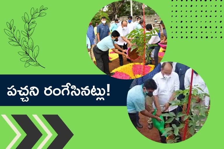 GHMC, haritha haram