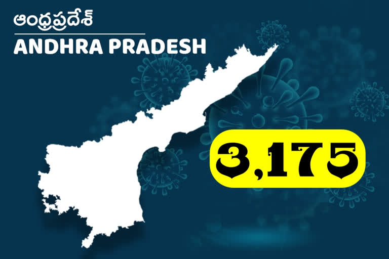 రాష్ట్రంలో కొత్తగా 3,175 కరోనా కేసులు, 29 మరణాలు