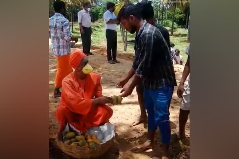 Siddaganga Swamiji distributes mangoes
