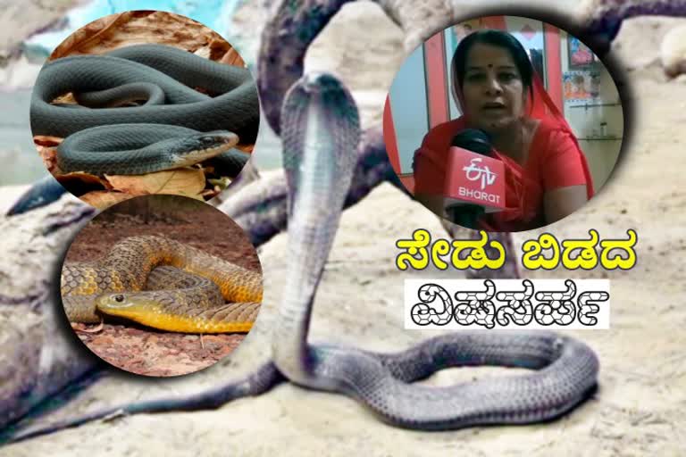 woman-who-survived-from-snake-bite