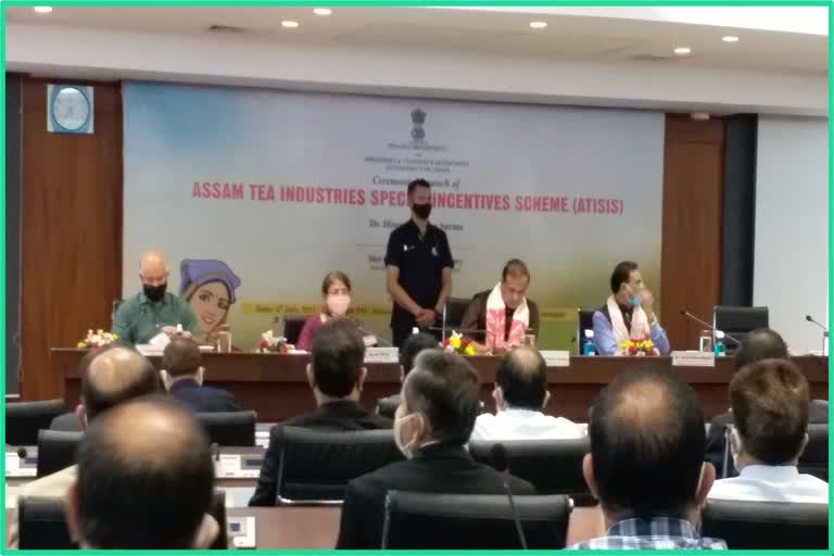 new-tea-scheme-open-by-assam-government