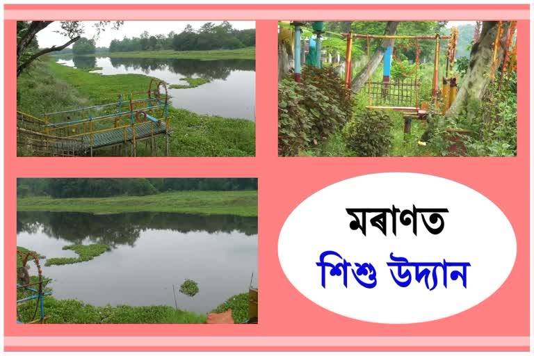 চিত্ৰশিল্পীয়ে সাজি উলিয়ালে আটক ধুনীয়া শিশু উদ্যান