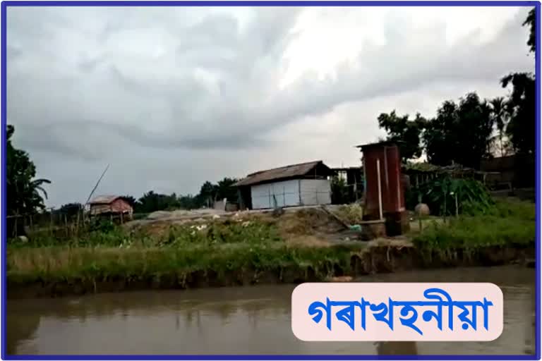 শংকটৰ গৰাহত বাঘেখাইটি গাঁও