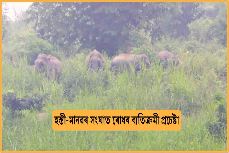 Innovative efforts to prevent elephant-human conflict in Barhampur