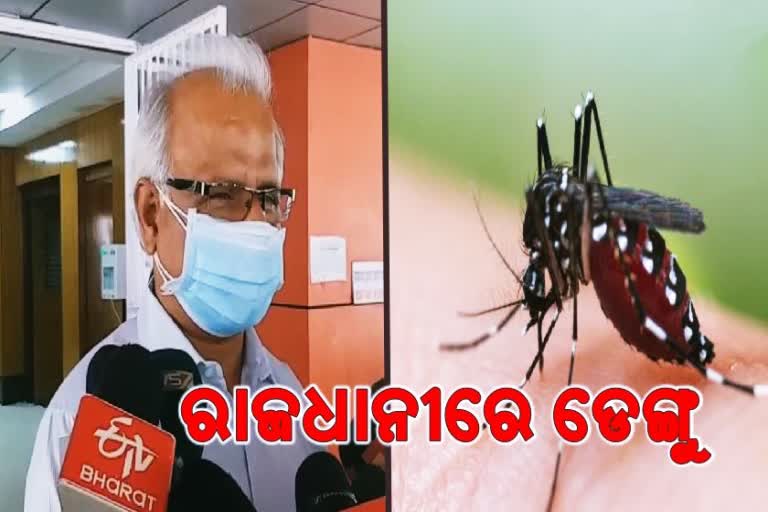 Dengue in captal of odisha 6 died