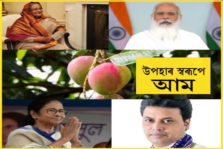 sheikh-hasina-sends-mangoes-to-pm-modi-biplab-deb-and-mamta-benarjee