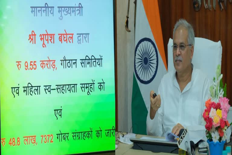 cm-bhupesh-baghel-sent-amount-to-account-of-cow-dung-sellers-under-godhan-nyay-yojana