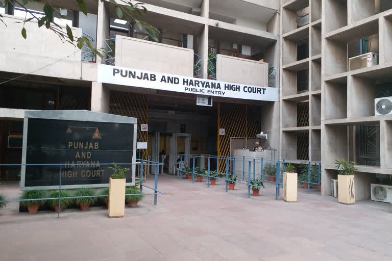 punjab haryana high court