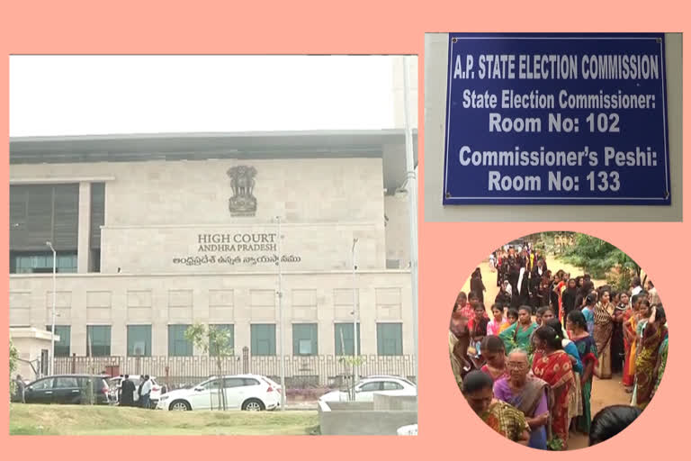 high court on parishad elections counting