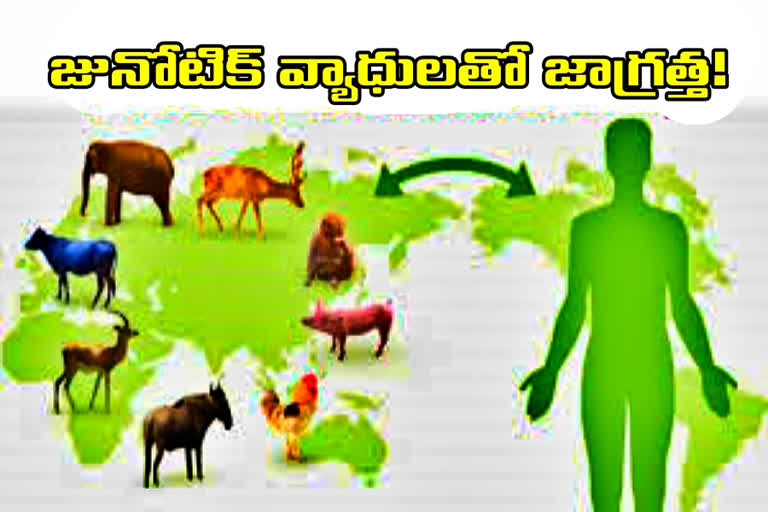 ZOONOSES DAY: మానవ జీవితాలపై ప్రభావం చూపుతున్న జునోటిక్​ వ్యాధులు