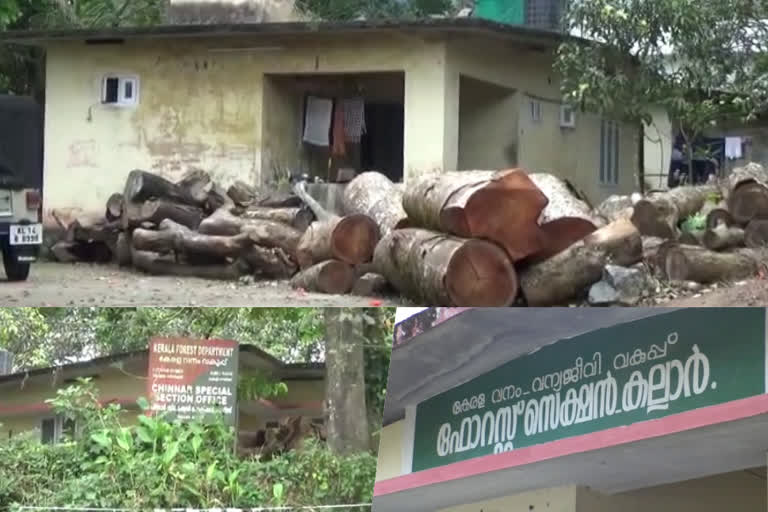 Proposal by Forest Department to file case against farmers who got permission and cut down trees  വിവാദ നടപടിയുമായി വനം വകുപ്പ്  മരംമുറിച്ച കര്‍ഷകര്‍ക്കെതിരെ കേസെടുക്കാന്‍ നിര്‍ദേശം  Proposal to file case against logging farmers  കേരള വനംവകുപ്പ്  kerala forest department  വനംവകുപ്പ് ഉന്നത ഉദ്യോഗസ്ഥരുടെ നിര്‍ദേശം  Recommendation of top officials of the forest department  ഇടുക്കി വാര്‍ത്ത  idukki news  കേരള സര്‍ക്കാര്‍  kerala government