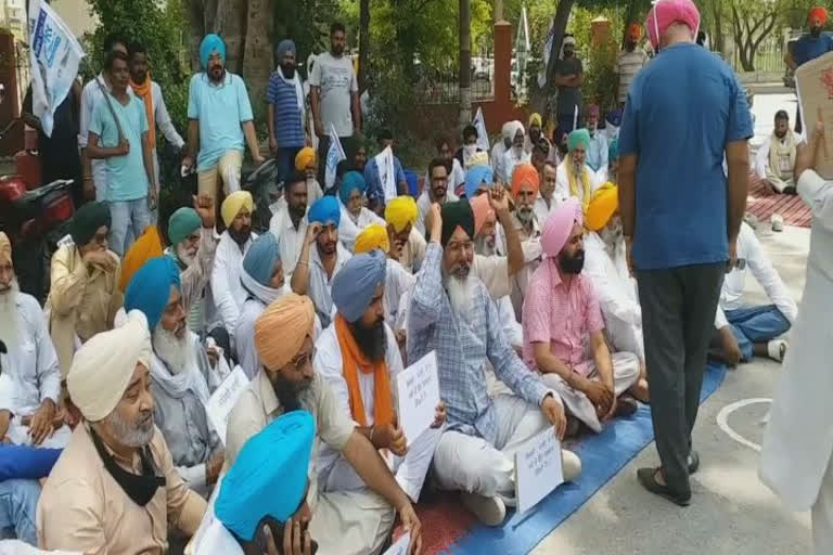 Faridkot:ਬਿਜਲੀ ਦੀ ਘਾਟ ਨੂੰ ਲੈ ਕੇ ਆਪ ਨੇ ਲਗਾਇਆ ਧਰਨਾ