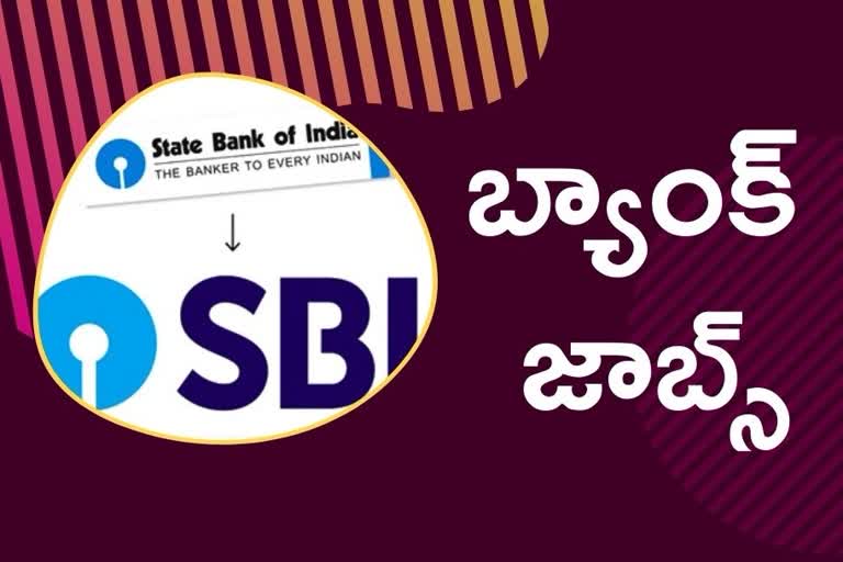 sbi apprentice jobs