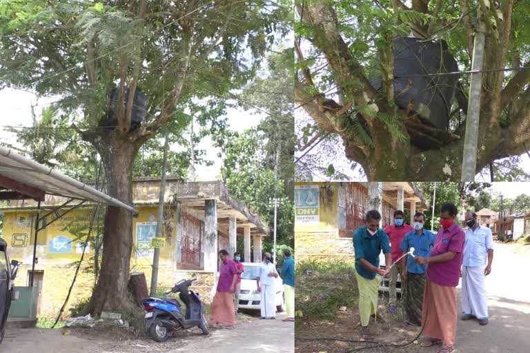 Water tank above the tree  മരത്തിന് മുകളിൽ ജലസംഭരണി  വാകമരം  ജലസംഭരണി  കെ റ്റി തങ്കച്ചൻ  ജലസേചന പദ്ധതി  ജലക്ഷാമം  മാവടി കൈലാസം റോഡ്