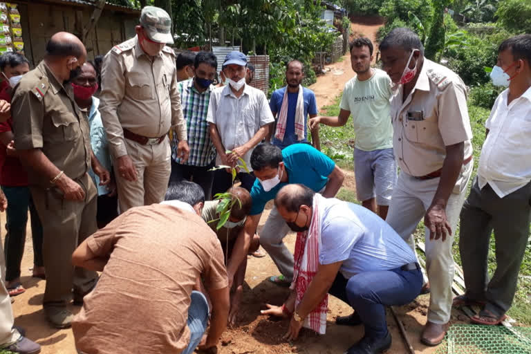 tree_plantation_at_gotanagar