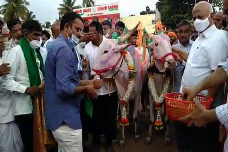 bull donated by Former MLC nagaraj chabbi to farmer