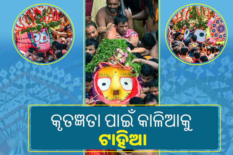 Tahia of lord jagannath, tahia given by raghaba das mutt, rath yatra, ଶ୍ରୀଗୁଣ୍ଡିଚା ଯାତ୍ରା, ସ୍ନାନ ଯାତ୍ରା, ଟାହିଆର ସ୍ବତନ୍ତ୍ରତା, ସୁଭଦ୍ରାଙ୍କ ଟୋପର, ପୁରୀ, puri