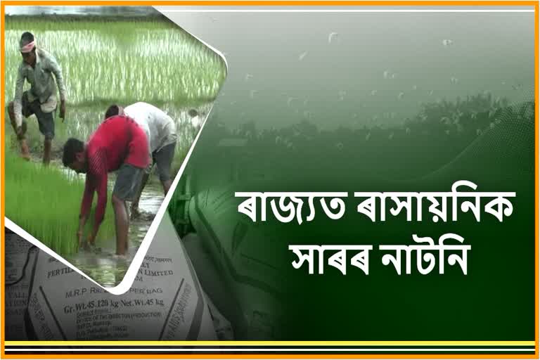 Fertilizer Crisis in assam baihata