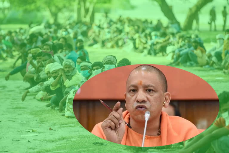 yogi government