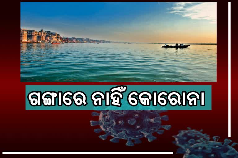 ଗଙ୍ଗା ପାଣିରେ ନାହିଁ କୋରୋନା