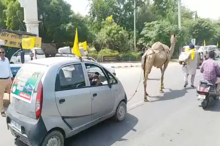 Farmers Protest Sirsa