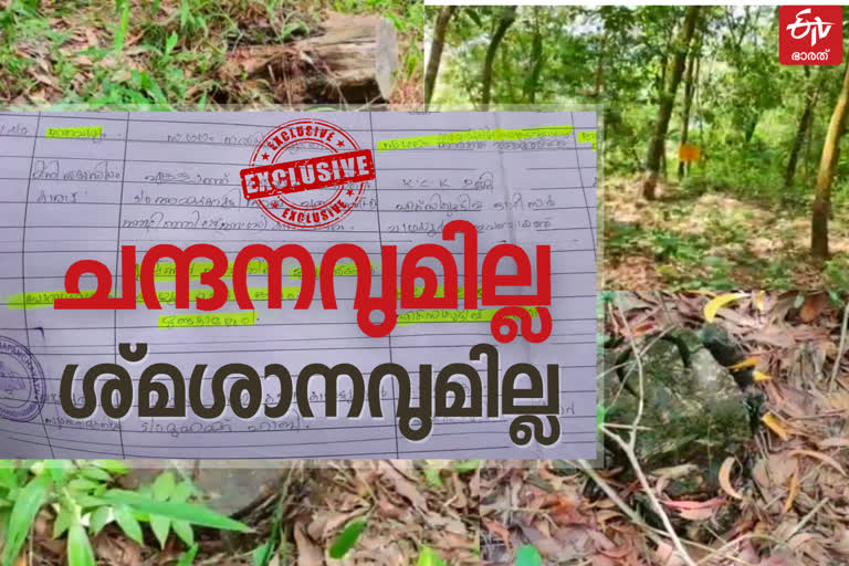 exclusive  Malappuram latest news  Sandalwood  Cemetery  മലപ്പുറം  മലപ്പുറം വാർത്ത  ചന്ദനമരങ്ങൾ കാൺമാനില്ല  ചന്ദനമരം  പൊതുശ്‌മശാനം  ശ്‌മശാനം